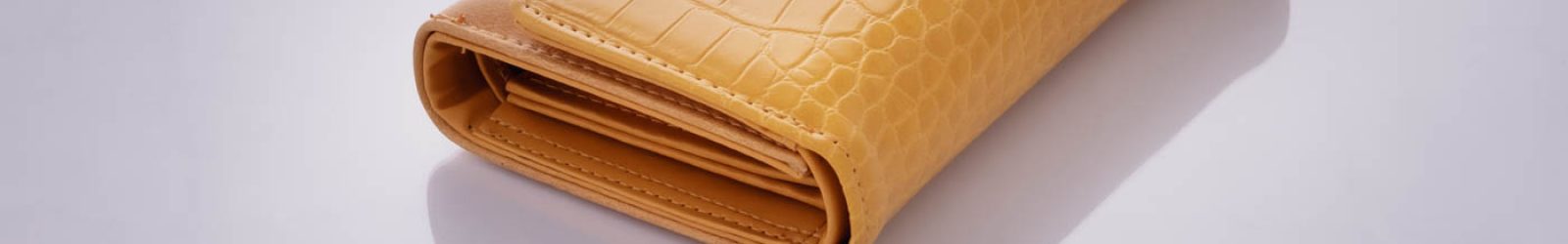 Taurus_Modni_Dodatki_denarnice_zenske_cover-1